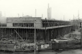 nowe-24969.jpg