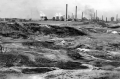 nowe-24979.jpg