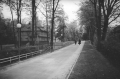 nowe-25067.jpg