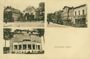 Jastrzębie Zdrój - Reprodukcja 25087