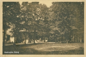 Jastrzębie Zdrój - Reprodukcja 25089