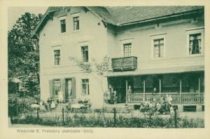 Jastrzębie Zdrój - Reprodukcja 25091
