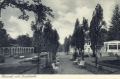 nowe-25106.jpg