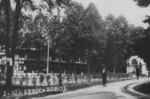 Jastrzębie Zdrój - Reprodukcja 25107