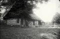 nowe-25127.jpg