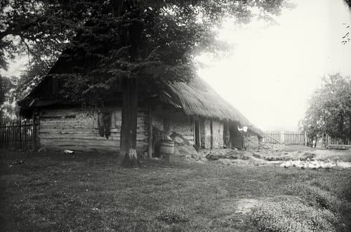 nowe-25127.jpg