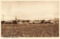 nowe-25133.jpg