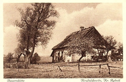 nowe-25152.jpg