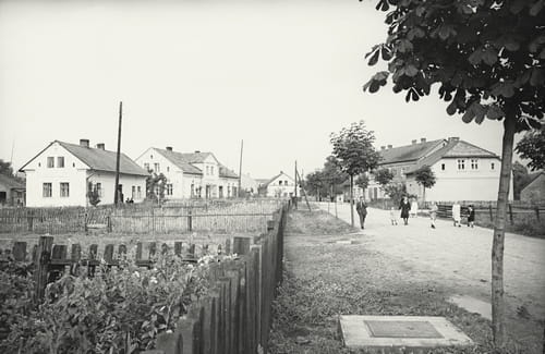 nowe-25157.jpg