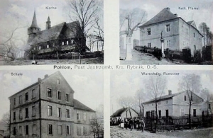Połomia widokowa - Reprodukcja 25165