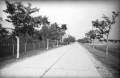 nowe-25172.jpg
