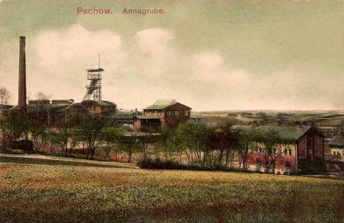 nowe-25183.jpg