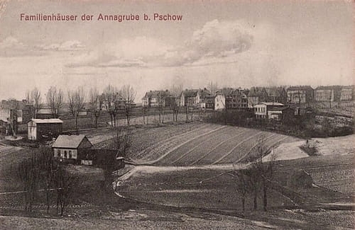 nowe-25185.jpg