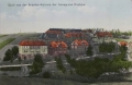 nowe-25190.jpg