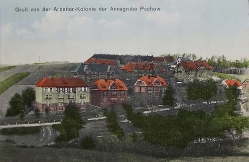 nowe-25190.jpg