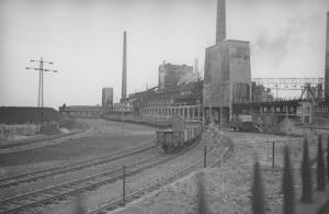 Radlin - Reprodukcja 25193