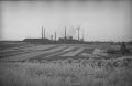 nowe-25196.jpg