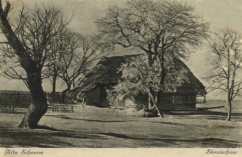nowe-25208.jpg