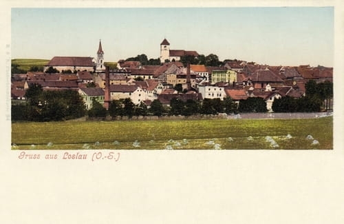 nowe-25220.jpg