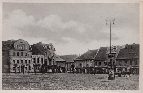 nowe-25223.jpg