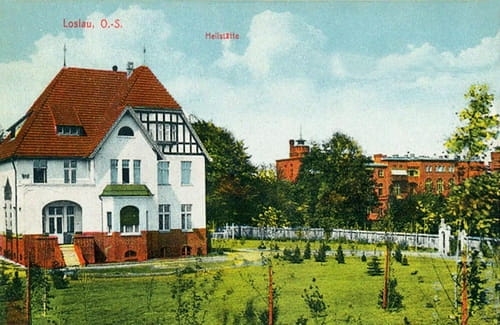 nowe-25227.jpg