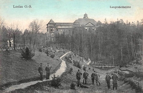 nowe-25234.jpg