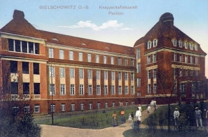 Ruda Śląska - Reprodukcja 25270
