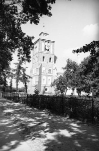 Nieszawa - Reprodukcja 25313