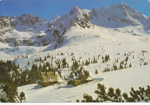 Hala Gąsienicowa - 08533