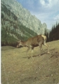 nowe-IMG_0048_NEW.jpg