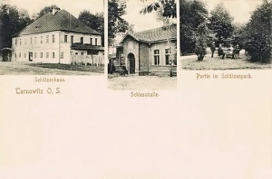 Tarnowskie Góry - Reprodukcja 25342