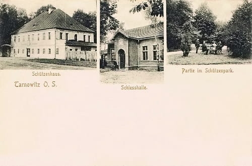 nowe-25342.jpg