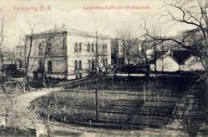 Tarnowskie Góry - Reprodukcja 25344