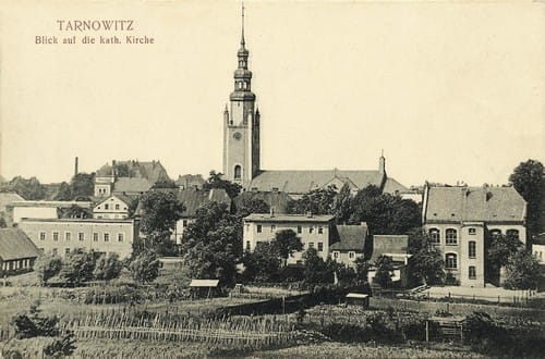 nowe-25394.jpg