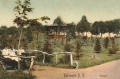 nowe-25404.jpg