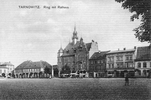 nowe-25412.jpg