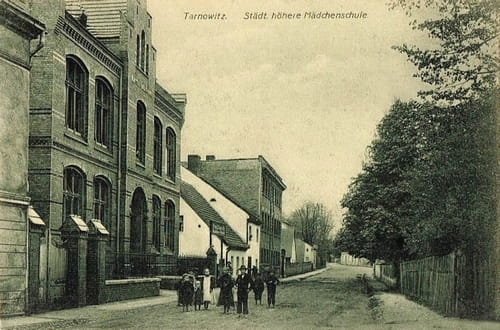 nowe-25414.jpg