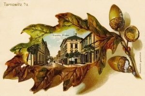 Tarnowskie Góry - Reprodukcja 25442