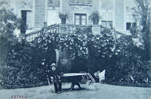 Rydzyna Pałac - Reprodukcja 25510