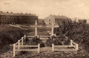 Lipno - Reprodukcja 25524