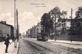 nowe-25628.jpg