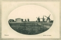 nowe-25701.jpg