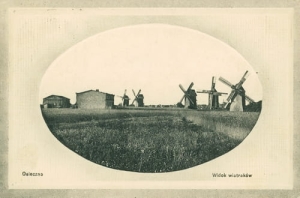 Osieczna wiatraki - Reprodukcja 25701