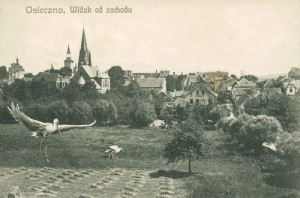 Osieczna panorama - Reprodukcja 25703