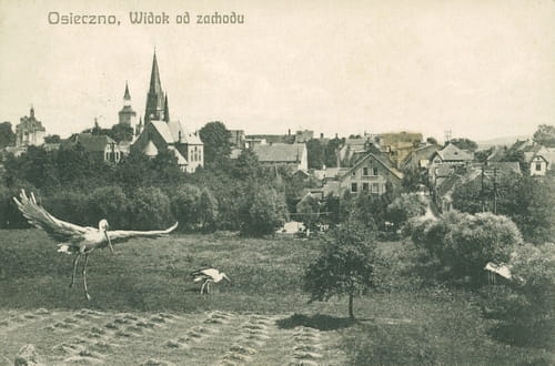 nowe-25703.jpg