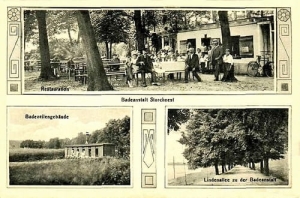 Osieczna widokowa - Reprodukcja 25712