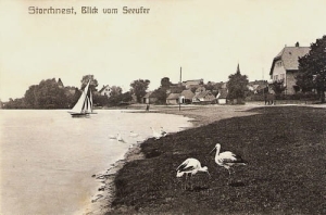 Osieczna panorama - Reprodukcja 25716