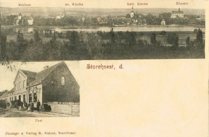 Osieczna widokowa - Reprodukcja 25727
