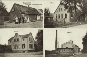 Boguszyn widokowa - Reprodukcja 25730