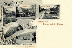 Dąbcze widokowa - Reprodukcja 25731